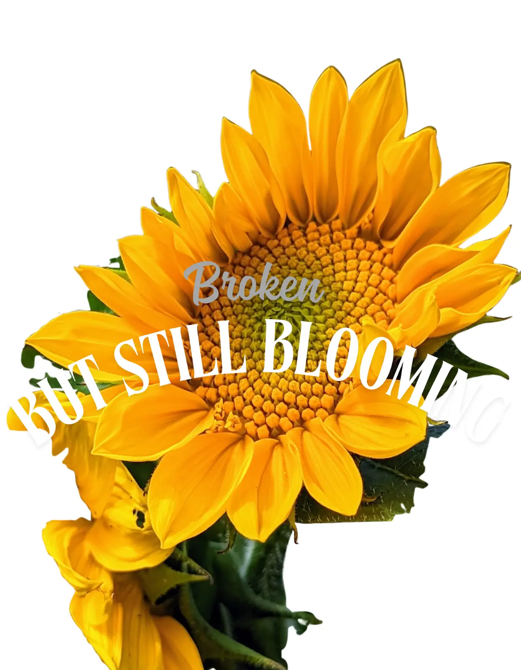 Broken and Still Blooming T-Shirt – Mental Health Awareness Graphic Tee