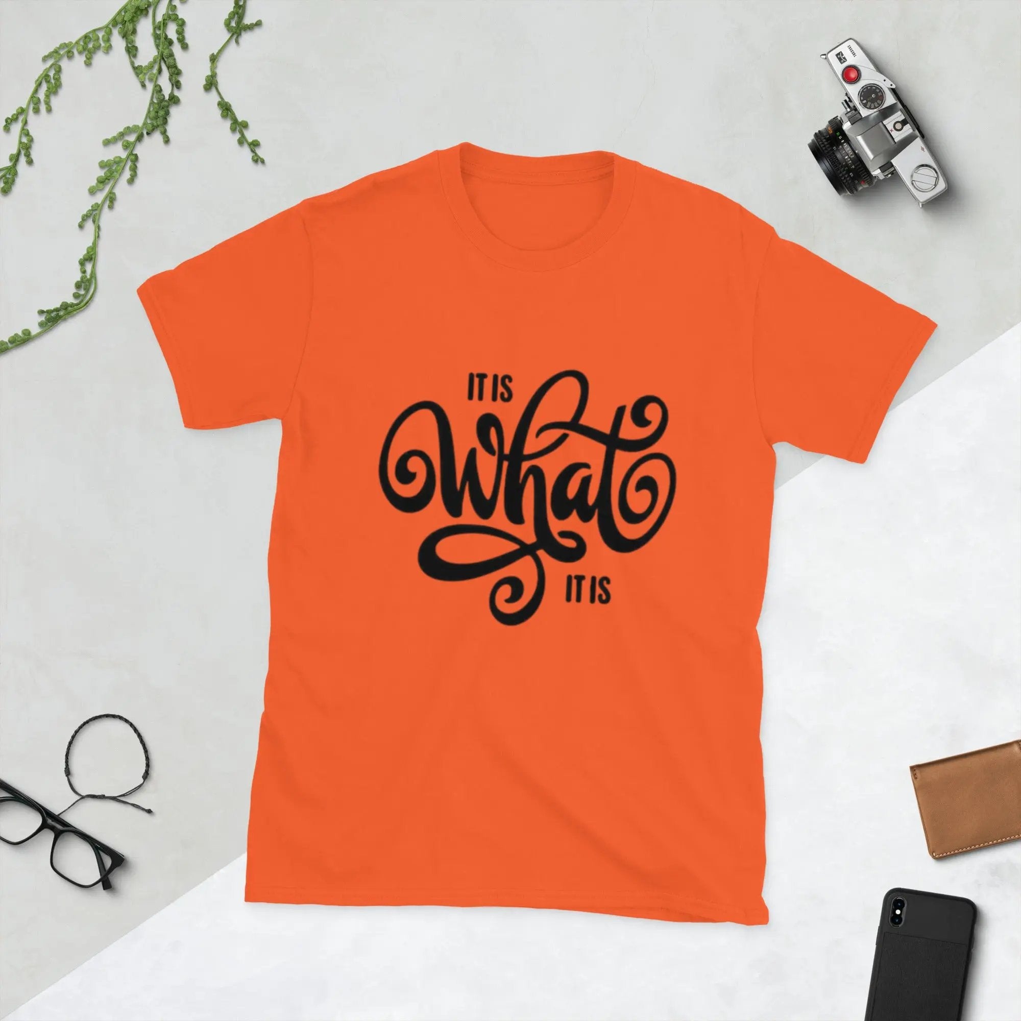 It Is What It Is t-shirt